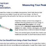 Measuring Your Peak Flow Rate